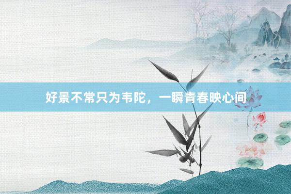 好景不常只为韦陀，一瞬青春映心间