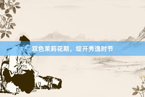 双色茉莉花期,绽开秀逸时节