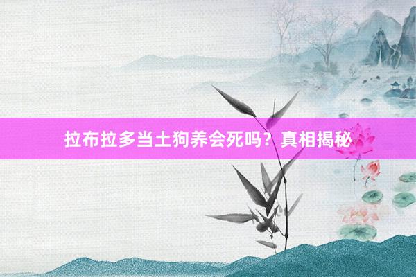 拉布拉多当土狗养会死吗？真相揭秘