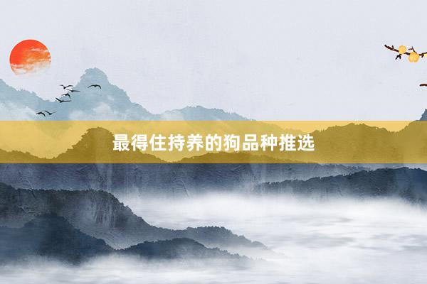 最得住持养的狗品种推选