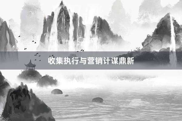 收集执行与营销计谋鼎新